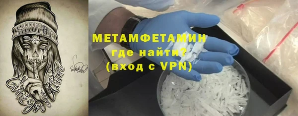 прущие грибы Кулебаки