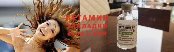 прущие грибы Кулебаки