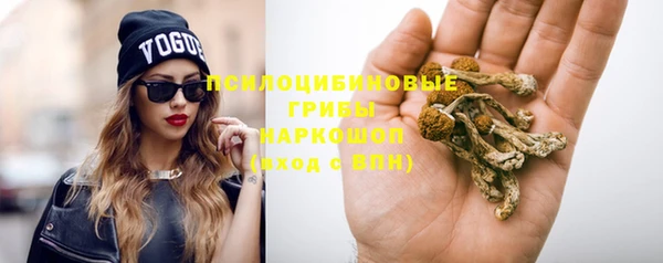 прущие грибы Верея