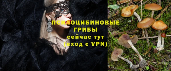 mix Медногорск
