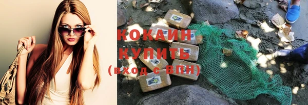 прущие грибы Кулебаки