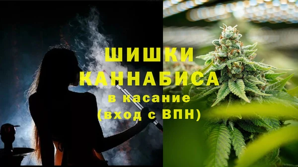 прущие грибы Кулебаки